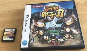 【動作確認済】熱闘!パワフル甲子園　パワプロクンポケット 11 ニンテンドー DS 任天堂　Nintendo