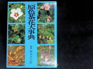 原色茶花大事典 監修 塚本洋太郎 淡交社　昭和63年3月初版　植物　園芸華道　茶道　XB241025M1