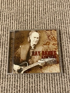 RAY DAVIES & BAND 「SUNSET SITUATION」　1CDR NEW TATTOO