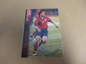 FIFA 2002 102 キム・テヨン　KIM TAE-YOUNG 韓国 カード サッカー PANINI 