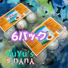 中国食材　6パック（36個入り）　中華茹で塩卵