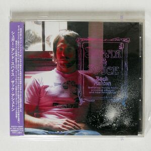 名盤 Zach Ashton sugar and spice ザック・アシュトン　国内盤帯付き　ベスト 全12曲を収録　王道サーフロック 極上の泣きメロ