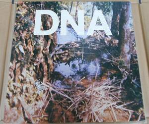 ●US盤12inch.EP 超RARE盤！「A TASTE OF DNA」DNA（AMERICAN CLAVE 1003EP）＊NEW YORK PUNK最重要作！Art Lindsay Ikue Mori Tim Wright