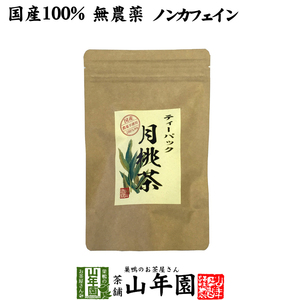 健康茶 国産100% 月桃茶 2g×20パック ティーパック ノンカフェイン 沖縄県産 無農薬 月桃水 送料無料