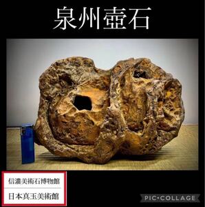 【年始初売り】水石 盆栽 泉州壺石 横33×高22×奥行12(cm) 重量:7.76kg 骨董盆石古美術中国古玩 4266