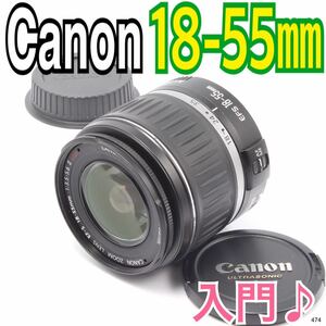 入門レンズ ♪キヤノン Canon EF-S 18-55mm（No.474）