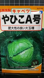 ３袋セット やひこ A号 キャベツ 大玉 種 郵便は送料無料