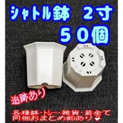 シャトル鉢【2寸】50個 プラ鉢 八角鉢 スリット鉢 プレステラ 多肉植物5