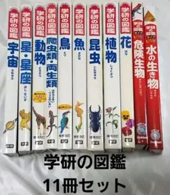 学研の図鑑 11冊セット