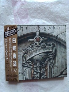 ホワイトスネイク　レストレス・ハート　CD 国内盤 アルバム　特別仕様初回限定盤　WHITESNAKE