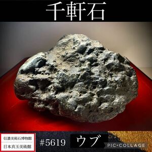 【信濃美術石博物館】水石 盆栽 千軒石 ウブ 横16×高10×奥行18(cm) 2.86kg骨董盆石古美術鑑賞石観賞石太湖石中国古玩 5619