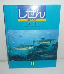 淡水魚1997『さけ／しぜん キンダーブック26集8編』 内山りゅう 写真／近江卓 指導