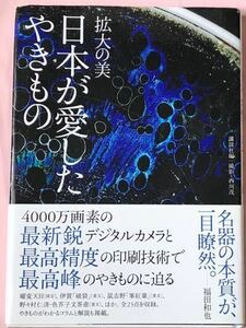 講談社編　拡大の美　日本が愛した焼き物　講談社　曜変天目茶碗