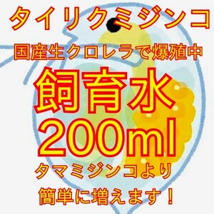 送料無料★タイリクミジンコ国産生クロレラで爆殖中！飼育水２00ｍｌ