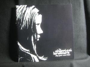 THE CHEMICAL BROTHERS / DIG YOUR OWN HOLE ◆CD1889NO◆CD