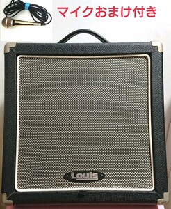 Louis ルイス LEA 30DSP アコースティックギター & エレキギター アンプ エフェクター内臓 おまけマイク付き 自宅練習 ライブ