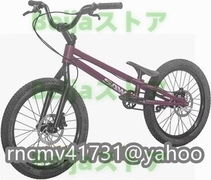 24インチ スタント用自転車 BMX 自転車 大人用 フロントおよびリアブレーキ付き Crmoフレームとフォーク パープル