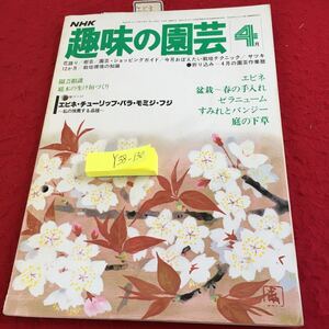 Y38-13NHK 趣味の園芸 4月 エビネ・チューリップ・バラ・モミジ・フジ 盆栽 春の手入れ ゼラニューム すみれとパンジー など 昭和53年発行