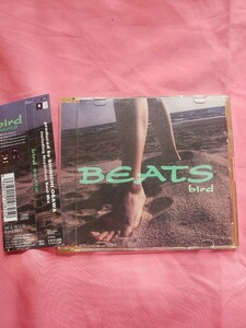 即決　CD BEATS bird