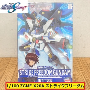 未組立/機動戦士ガンダムseed/デスティニー/1:100/ストライクフリーダムガンダム/zgmf-x20a/ガンプラ/プラモデル/destiny/bandai/mk11