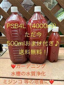 PSB4L（4000ml） ＋500ml おまけ付き♪ PSB光合成細菌 ゾウリムシ 水質浄化 めだか メダカ ミジンコ 匿名　おてがる版ゆうパック　針子　餌