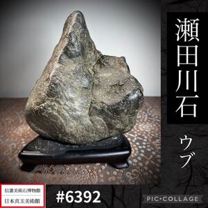 【メリーストーンフェア】水石 盆栽 瀬田川石 ウブ横10×高14×奥行7(cm)重量:900g 骨董盆石古美術中国古玩 6392