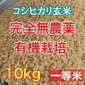 完全無農薬 有機栽培 10キロ 『一等米』令和5年 新米 コシヒカリ玄米 安心安全美味しいお米　発芽玄米になります！送料、精米無料♪