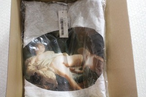 Supreme 19SS Leda And The swan Tee Ash Grey Medium M