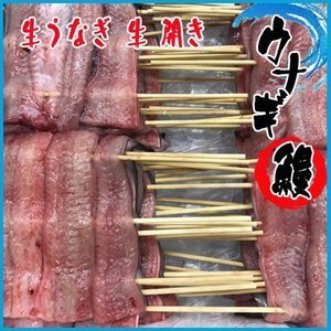  生うなぎ 生 開き　１串 約220g前後　