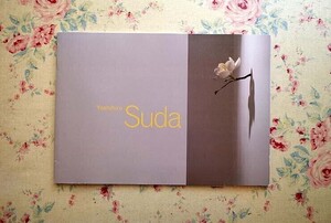 46217/須田悦弘展 Yoshihiro Suda 2009年 ホノルル現代美術館 The Contemporary Museum Honolulu 彫刻 空間作品 インスタレーション