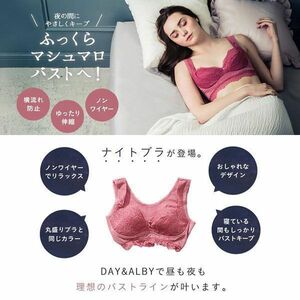 新品未開封 DAY&ALBY デイアンドアルビー ナイトキープアップブラ ナイトブラ C/Dcup65-70 ホワイト　白色