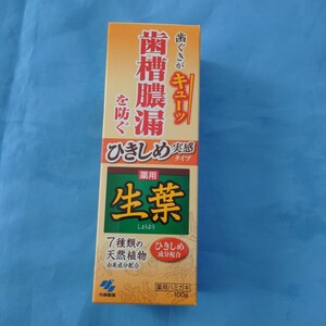 即決!小林製薬歯ぐきがキューッ歯槽膿漏を防ぐ生葉薬用ハミガキひきしめ成分配合