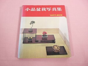 『 小品盆栽写真集 』 盆栽世界編集部 樹石社