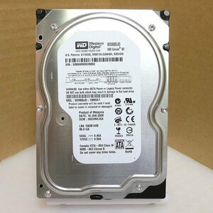 HD4581★WesternDigital★3.5インチHDD★80GB★WD800JD★即決！