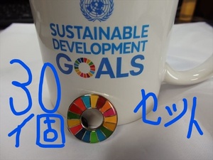  SDGs ピンバッジ 30個（送料無料）（22000円税込）（国連ブックショップ購入）（新品未使用）（小分袋30枚付)(ラバークラスプ付素材)UN82