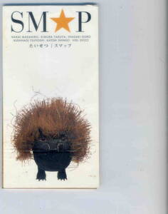 「たいせつ」SMAP CD