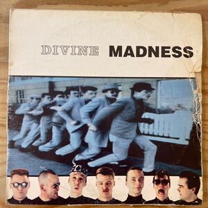 2枚組/MADNESS/DIVINE/LP/レコード/中古/DJ/Rock/スカ/one step beyond/ヒット曲