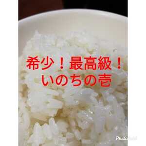 残りわずか！最高級品種！いのちの壱玄米29キロ　６年産