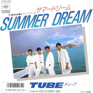 EP3枚以上送無♪TUBE(チューブ)/SUMMER DREAM/真夏の夜はROCK