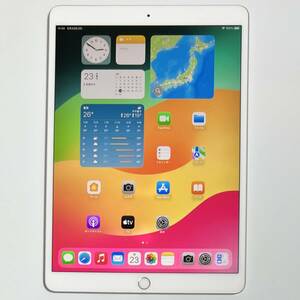 Apple SIMフリー iPad Air (第3世代) シルバー 256GB MV0P2J/A Wi-Fi+Cellular バッテリー最大容量84% アクティベーションロック解除済