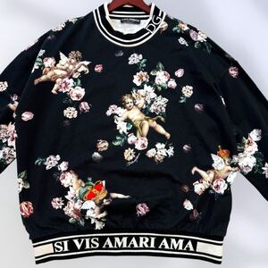 極美品 幻のXL!! DOLCE&GABBANA ドルチェ&ガッバーナ ドルガバ エンジェル クラウン スウェット トレーナー 天使 王冠 DGロゴ 花柄 メンズ