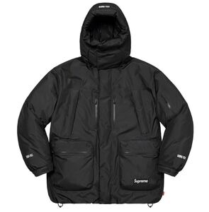 Supreme / GORE-TEX 700-Fill Down Parka / 2022. Fall/Winter / シュプリーム / ダウンジャケット / ゴアテックス / L / 美品