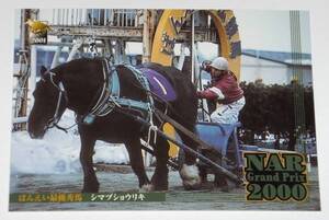 【トレカ】競馬・バンダイ・2001年・NARグランプリカード・098 シマヅショウリキ ③