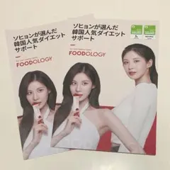 ソヒョン さん FOODOLOGYチラシ 2枚