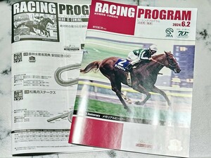 【競馬】安田記念 レーシングプログラム タイキシャトル ロマンチックウォリアー ナミュール ソウルラッシュ