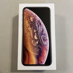 Apple iPhone XS 256GB ゴールド空箱