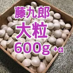 銀杏　藤九郎　600g