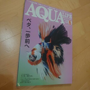 アクアライフ2022年6月号