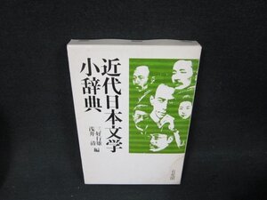 近代日本文学小辞典　日焼け強シミ有/AEH