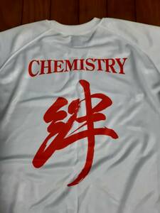 古着美品 CHEMISTRY 絆 Tシャツ Mサイズ mizuno 